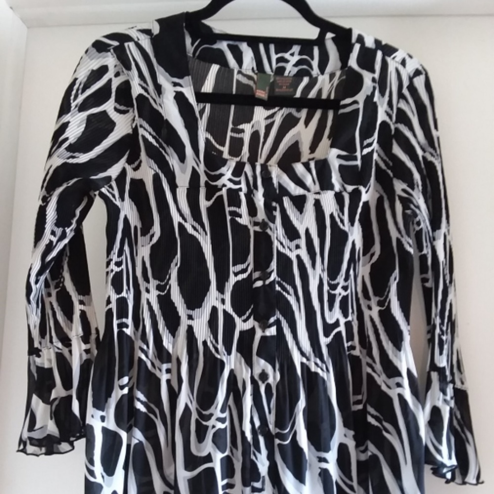 Sere Nade Blouse Sheer Shirt with Buttons